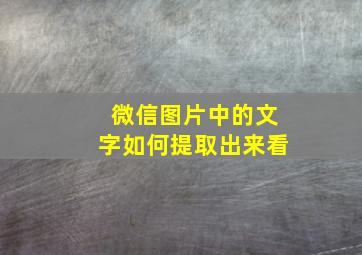 微信图片中的文字如何提取出来看