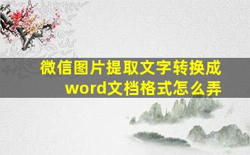 微信图片提取文字转换成word文档格式怎么弄