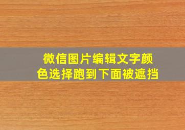 微信图片编辑文字颜色选择跑到下面被遮挡