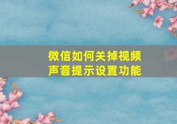 微信如何关掉视频声音提示设置功能