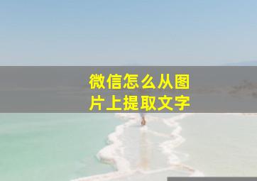 微信怎么从图片上提取文字