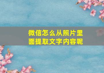 微信怎么从照片里面提取文字内容呢