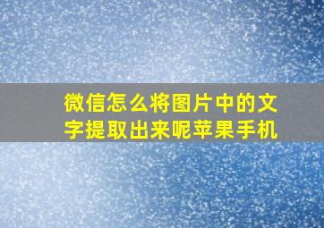 微信怎么将图片中的文字提取出来呢苹果手机