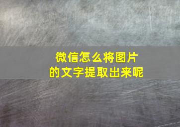 微信怎么将图片的文字提取出来呢