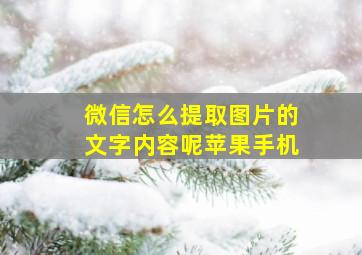 微信怎么提取图片的文字内容呢苹果手机