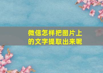 微信怎样把图片上的文字提取出来呢