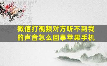 微信打视频对方听不到我的声音怎么回事苹果手机