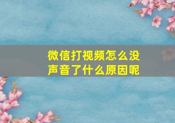 微信打视频怎么没声音了什么原因呢