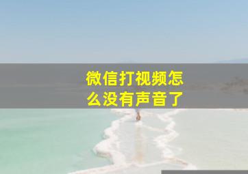 微信打视频怎么没有声音了