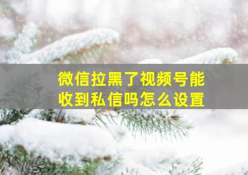 微信拉黑了视频号能收到私信吗怎么设置