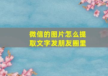 微信的图片怎么提取文字发朋友圈里