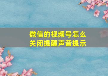 微信的视频号怎么关闭提醒声音提示