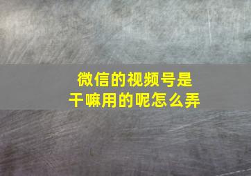 微信的视频号是干嘛用的呢怎么弄