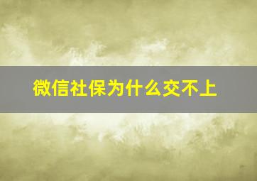 微信社保为什么交不上