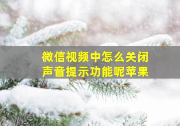 微信视频中怎么关闭声音提示功能呢苹果