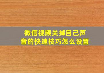 微信视频关掉自己声音的快速技巧怎么设置