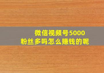 微信视频号5000粉丝多吗怎么赚钱的呢