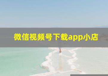 微信视频号下载app小店