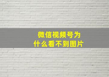 微信视频号为什么看不到图片