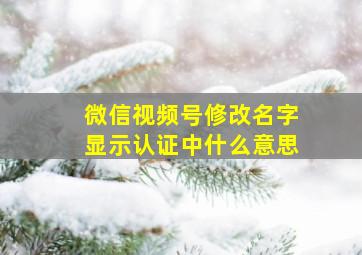 微信视频号修改名字显示认证中什么意思