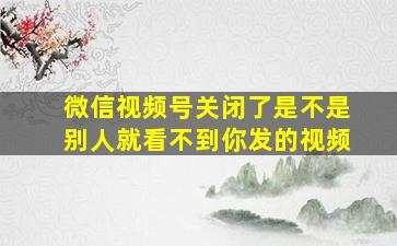 微信视频号关闭了是不是别人就看不到你发的视频