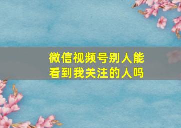 微信视频号别人能看到我关注的人吗