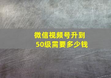 微信视频号升到50级需要多少钱