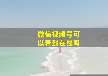 微信视频号可以看到在线吗