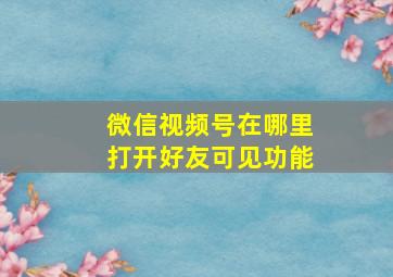 微信视频号在哪里打开好友可见功能