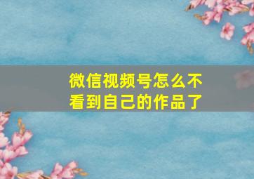 微信视频号怎么不看到自己的作品了