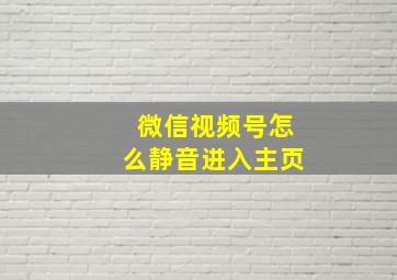 微信视频号怎么静音进入主页