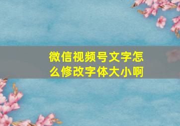 微信视频号文字怎么修改字体大小啊