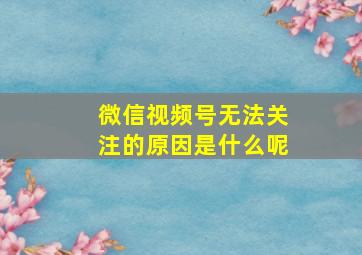 微信视频号无法关注的原因是什么呢