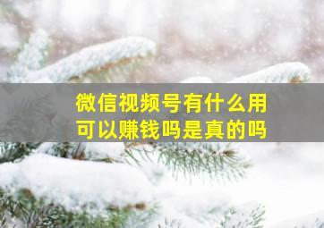 微信视频号有什么用可以赚钱吗是真的吗