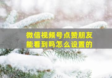 微信视频号点赞朋友能看到吗怎么设置的