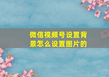 微信视频号设置背景怎么设置图片的