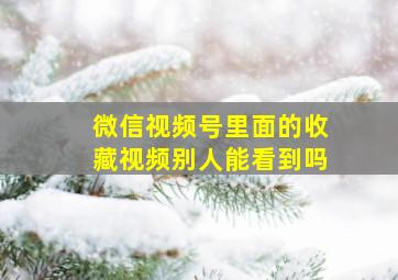 微信视频号里面的收藏视频别人能看到吗