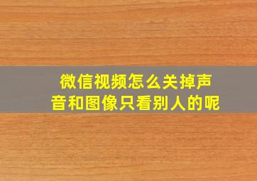 微信视频怎么关掉声音和图像只看别人的呢