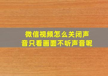 微信视频怎么关闭声音只看画面不听声音呢