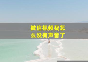 微信视频我怎么没有声音了