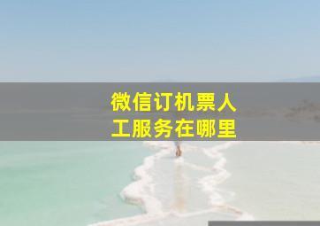 微信订机票人工服务在哪里