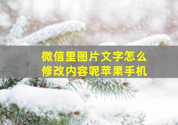 微信里图片文字怎么修改内容呢苹果手机