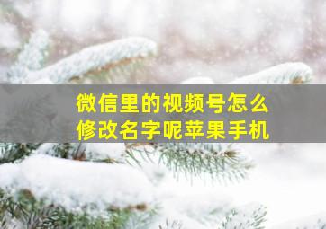 微信里的视频号怎么修改名字呢苹果手机