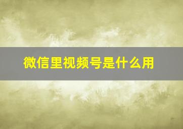 微信里视频号是什么用