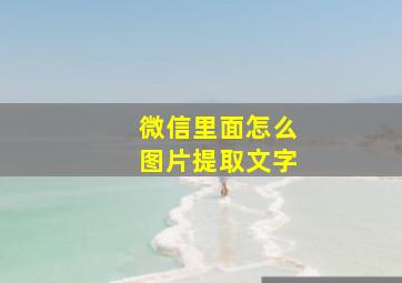 微信里面怎么图片提取文字