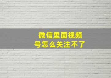 微信里面视频号怎么关注不了