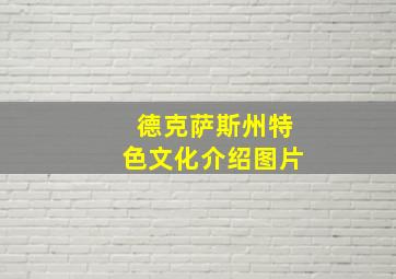 德克萨斯州特色文化介绍图片