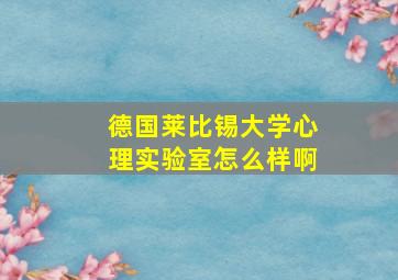 德国莱比锡大学心理实验室怎么样啊