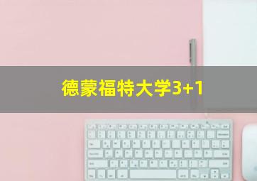 德蒙福特大学3+1