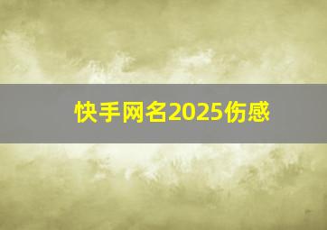 快手网名2025伤感